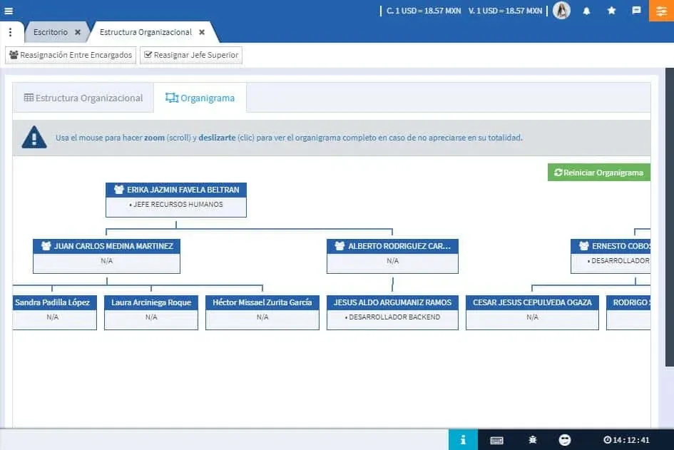Estructura organizacional de la empresa, Evidence Technology