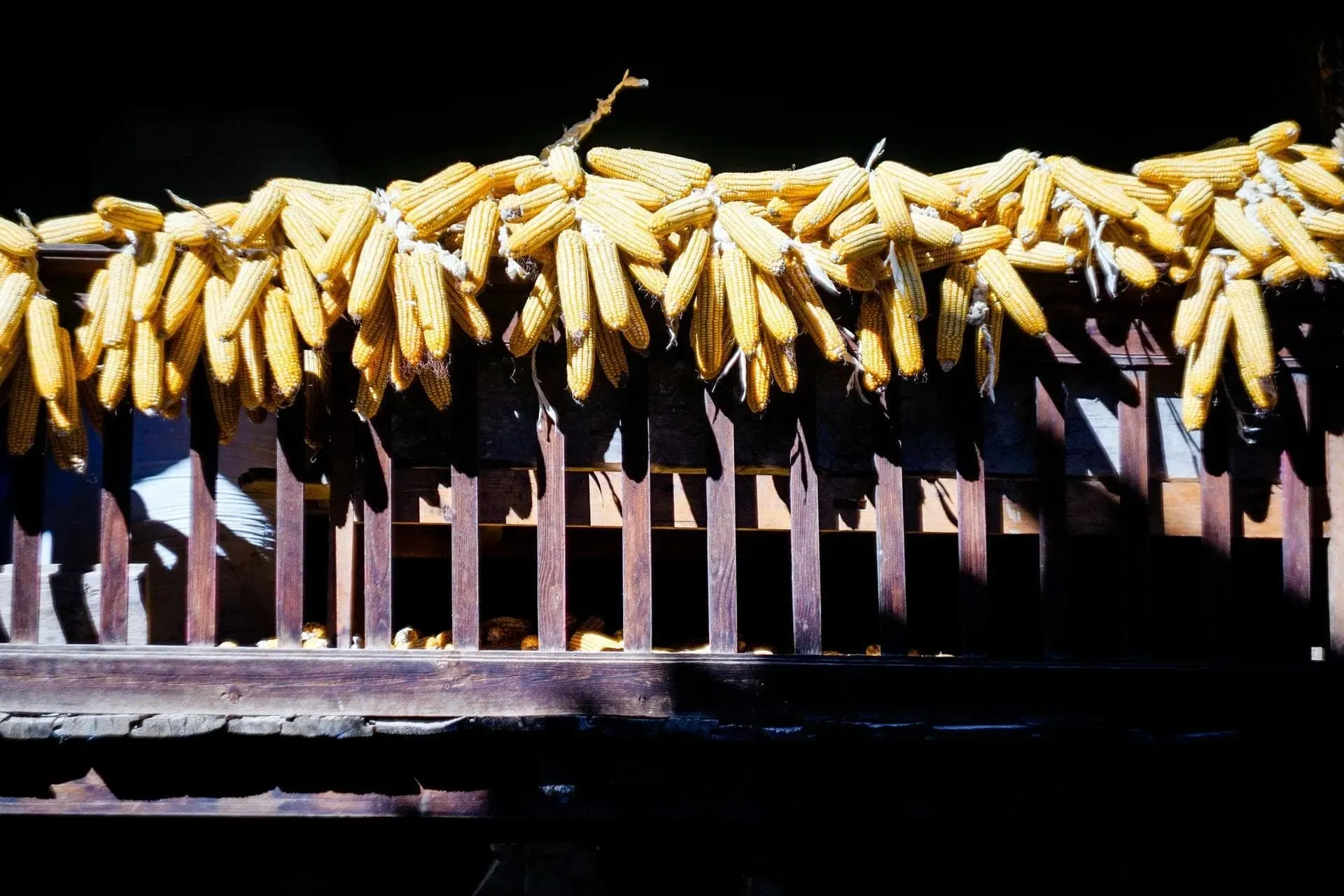 Evidence Technology - ¿Qué son las cadenas de suministro?