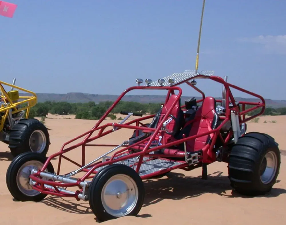 Buggy sin calidad, Evidence Technology