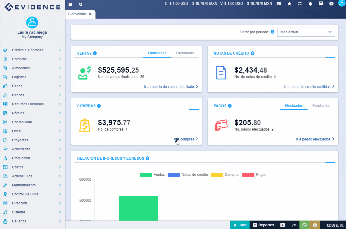 Facultades por usuario en el ERP de Evidence Technology